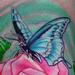 tattoo galleries/ - Butterfly and Rose   - 65087